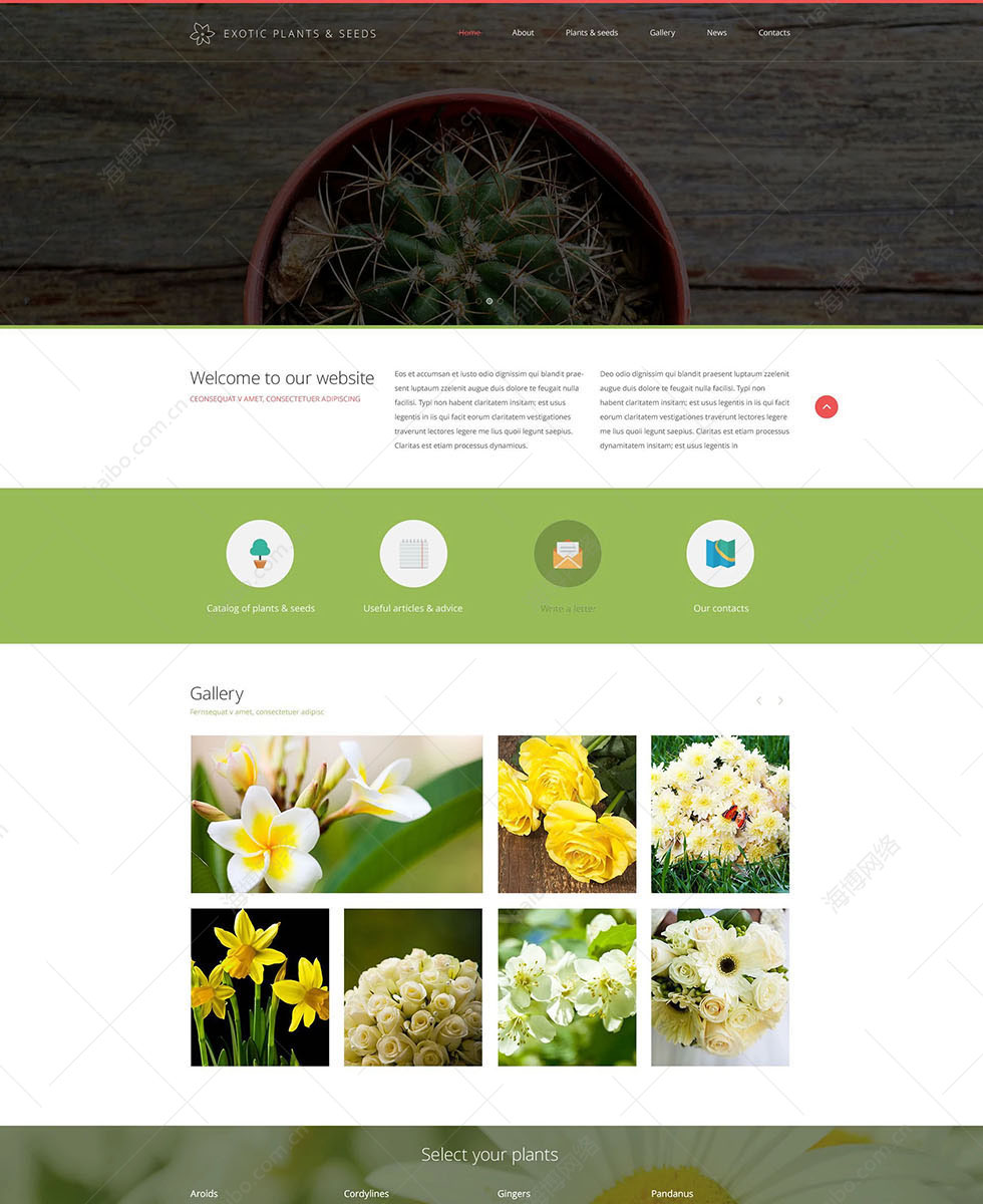 营销网络推广方案外贸建站,泉州外贸网站推广,泉州免费建站：网页页面设计, 1718