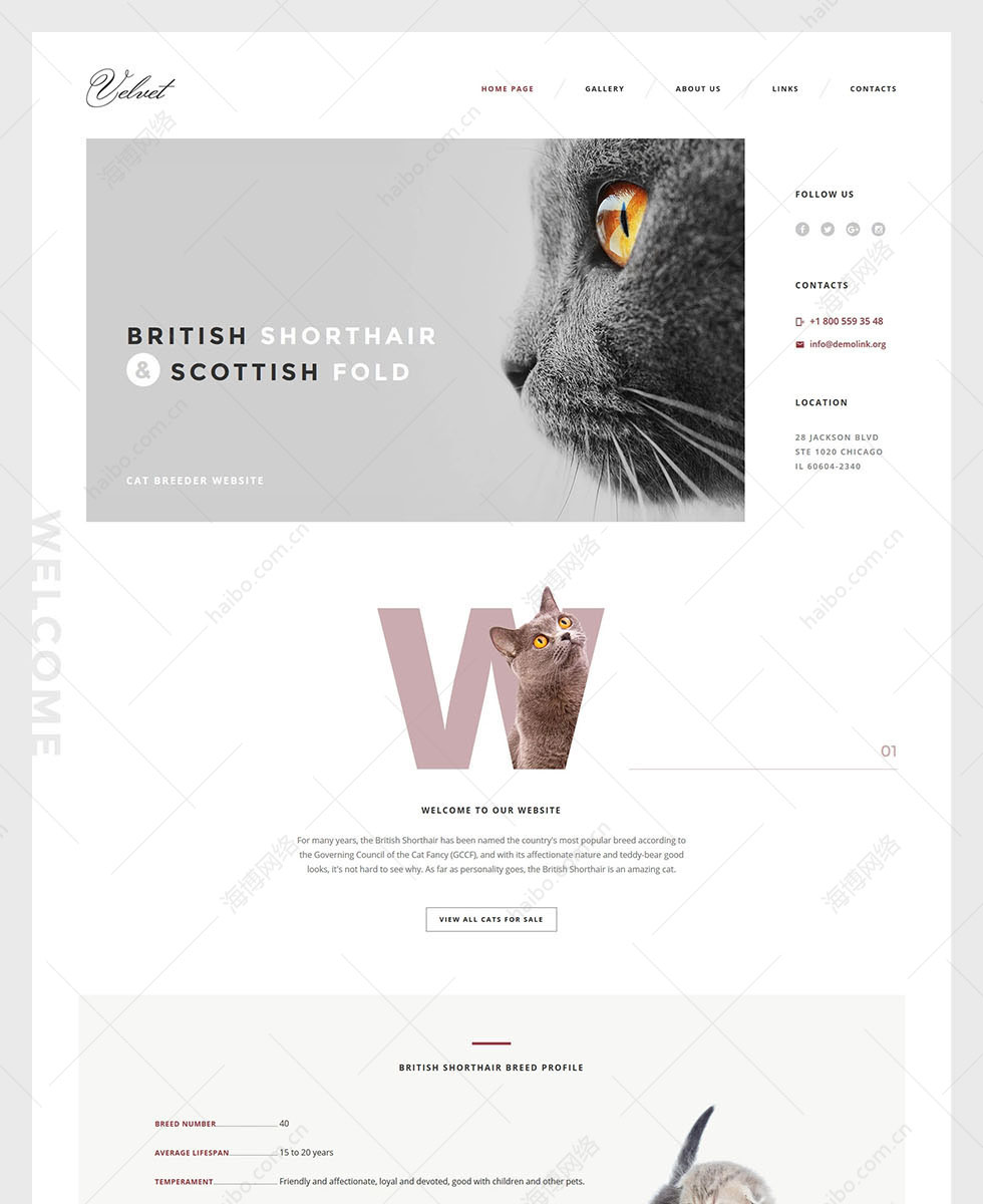 网络广告推广收费外贸建站,三水外贸网站推广,三水免费建站：网站建设, 1816